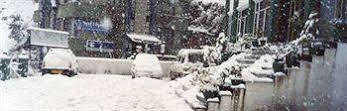 De Park Hotel Shimla Buitenkant foto